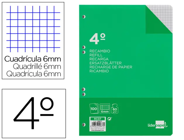 Imagen RECAMBIO LIDERPAPEL 4 100H 6MM