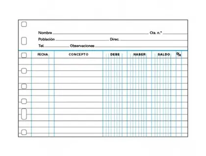 Imagen Recambio multifin 3006 -cuentas corrientes